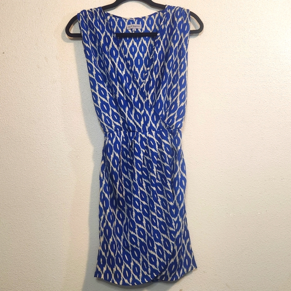 Alice & You, Blue and White Dress